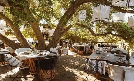 Restaurante Animalón