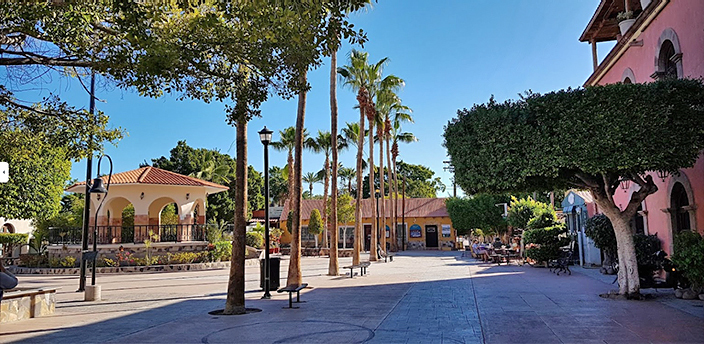 Café Olé, Loreto