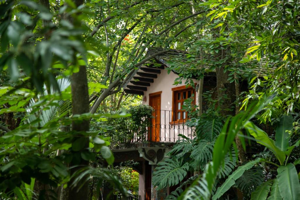 La Casa de los Árboles, Zacualpan de Amilpas