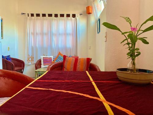 Aurinko, Sayulita