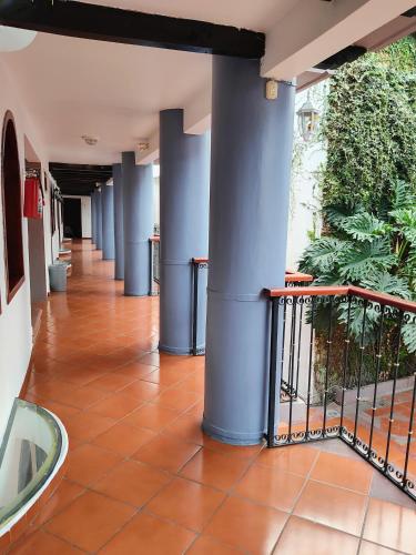 Jardines del Carmen, San Cristóbal de las Casas