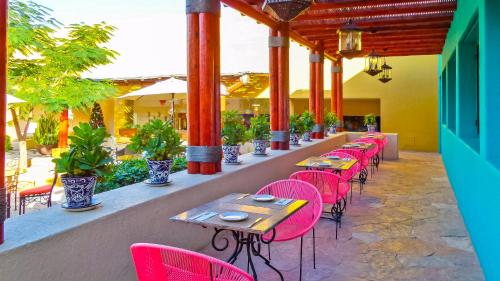 Los Patios, Los Cabos