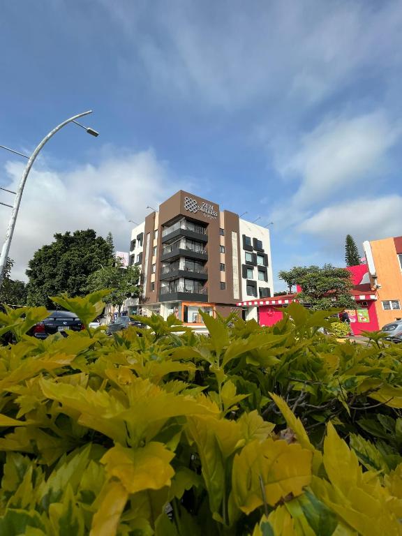 Suites Regente, Oaxaca
