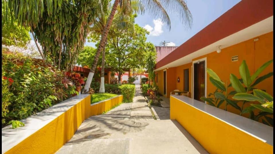Caribe, Cozumel