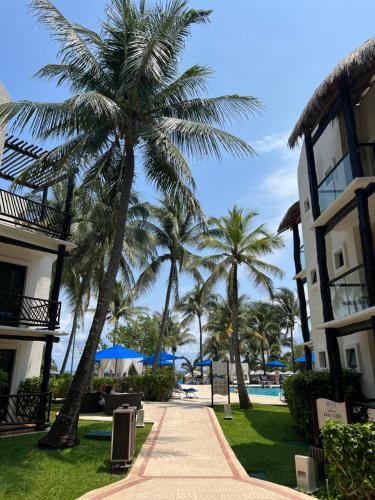 The Reef Playacar, Playacar
