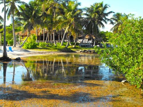 Costa de Cocos, Xcalak