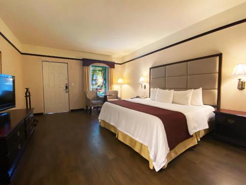 Safi Royal Luxury Centro, Monterrey
