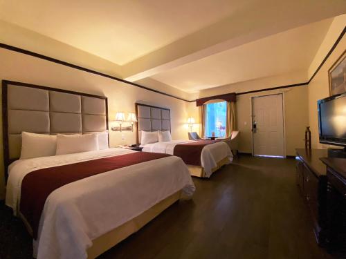 Safi Royal Luxury Centro, Monterrey