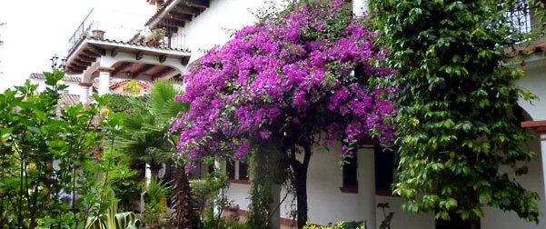 Jovel, San Cristóbal de las Casas