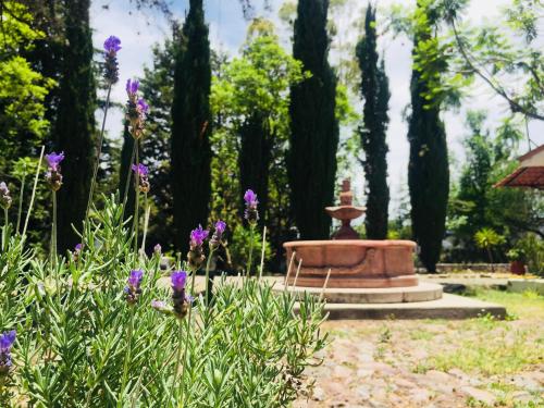 San Ramón, San Miguel de Allende