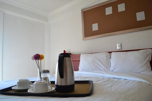 Campestre Inn, León