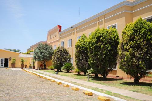Zar Guadalajara, Guadalajara