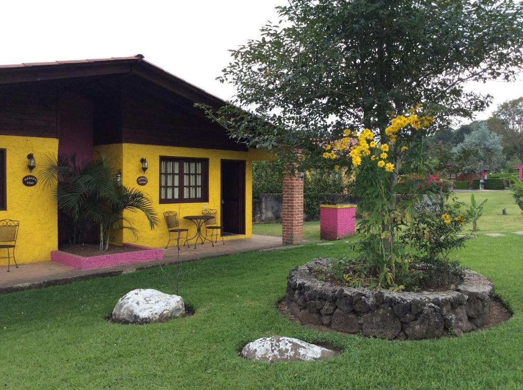 Cabañas la Chicharra, Xico