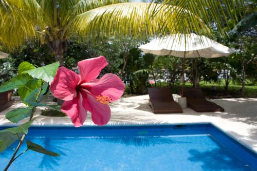 Sotavento, Cancún