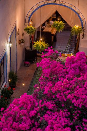 Hotel & Spa Moss Querétaro, Querétaro