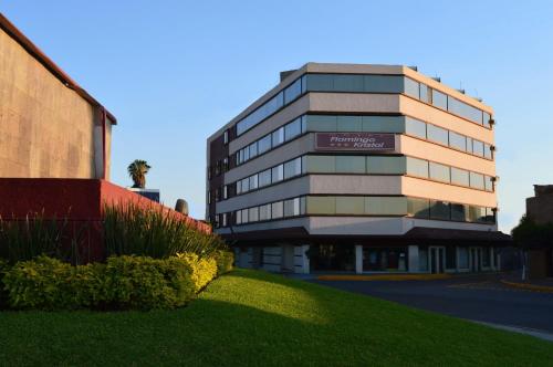 Flamingo Kristal, Irapuato