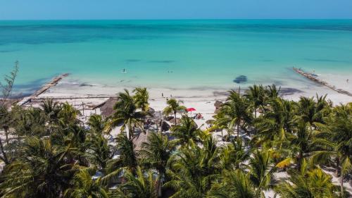 Zomay, Holbox