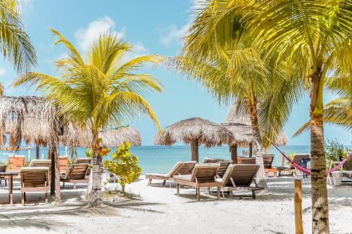 Zomay, Holbox