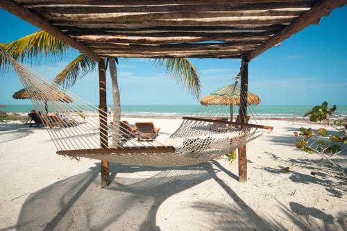 Zomay, Holbox