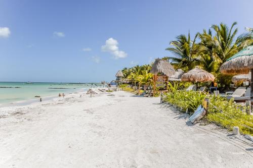 Zomay, Holbox