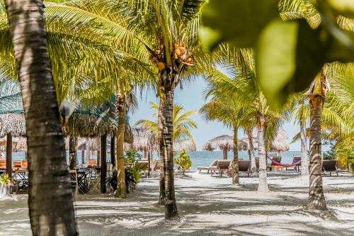 Zomay, Holbox