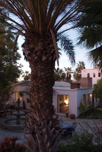 Hacienda Todos Los Santos, Todos Santos