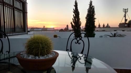 Suites Sofía, Querétaro