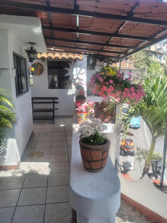 Las Palomas, Taxco