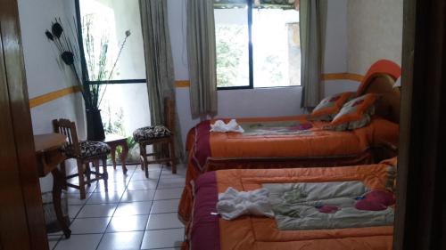 Mixti, Cuetzalan