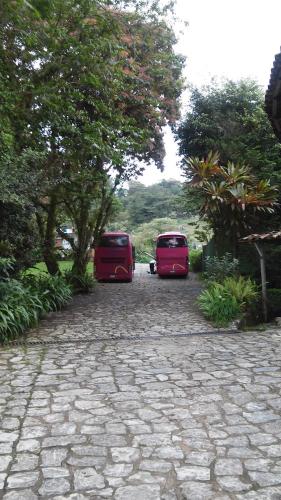 Mixti, Cuetzalan