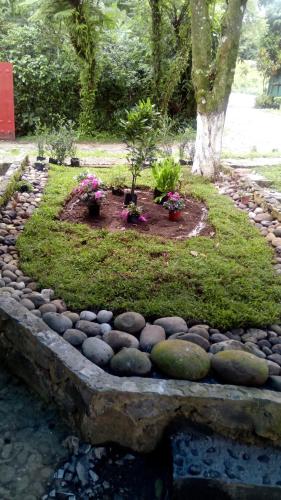 Mixti, Cuetzalan