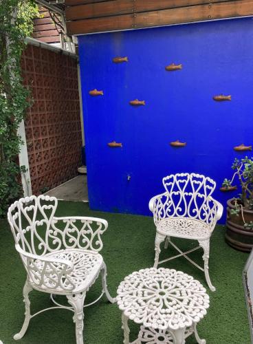 Hostal Cuija Coyoacán, Ciudad de México