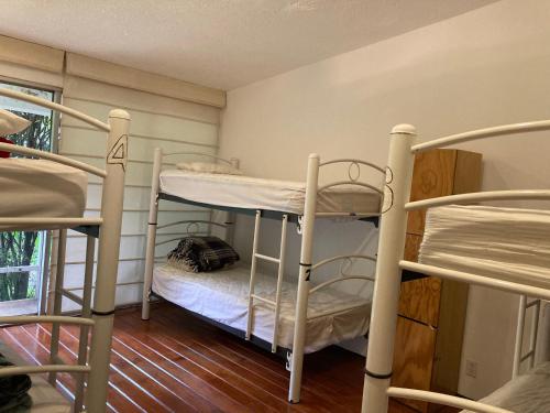 Hostal Cuija Coyoacán, Ciudad de México