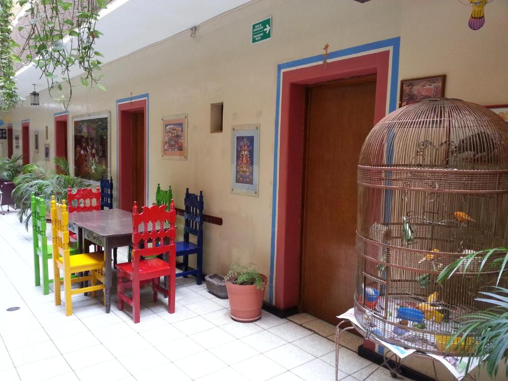 Janeiro, Guadalajara
