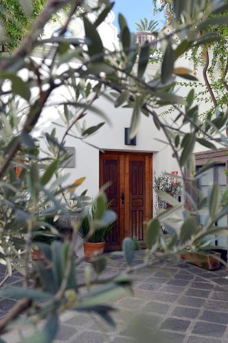 Casa de los Olivos, San Miguel de Allende