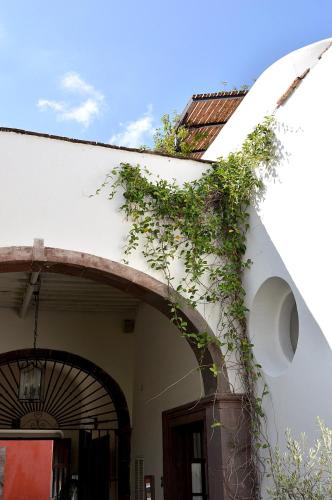 Casa de los Olivos, San Miguel de Allende
