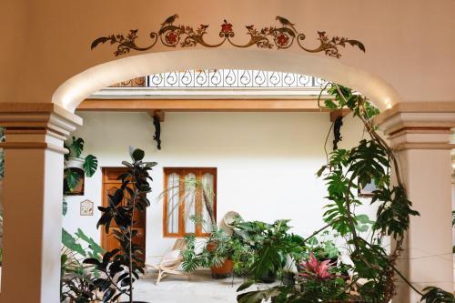 Los Pilares, Oaxaca