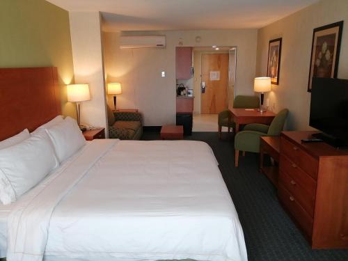 Holiday Inn Express and Suites Zona Aeropuerto, Toluca