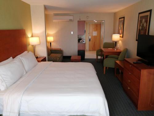 Holiday Inn Express and Suites Zona Aeropuerto, Toluca