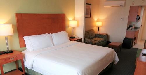 Holiday Inn Express and Suites Zona Aeropuerto, Toluca