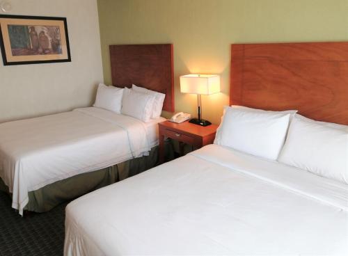 Holiday Inn Express and Suites Zona Aeropuerto, Toluca