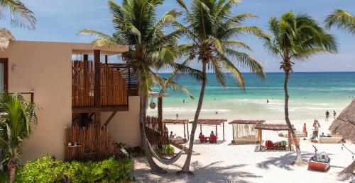 La Zebra, Tulum