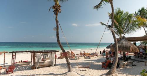 La Zebra, Tulum