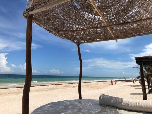Teetotum, Tulum