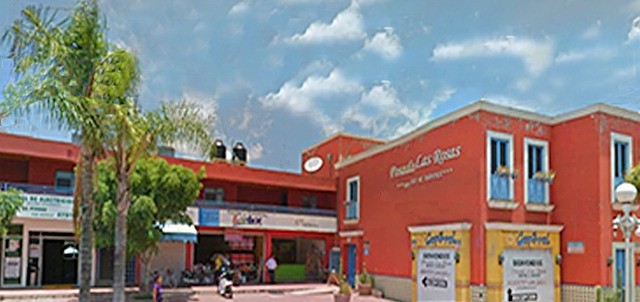 Posada las Rosas, Ayotlán