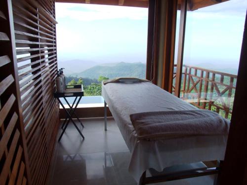 Finca Hamburgo, Tapachula