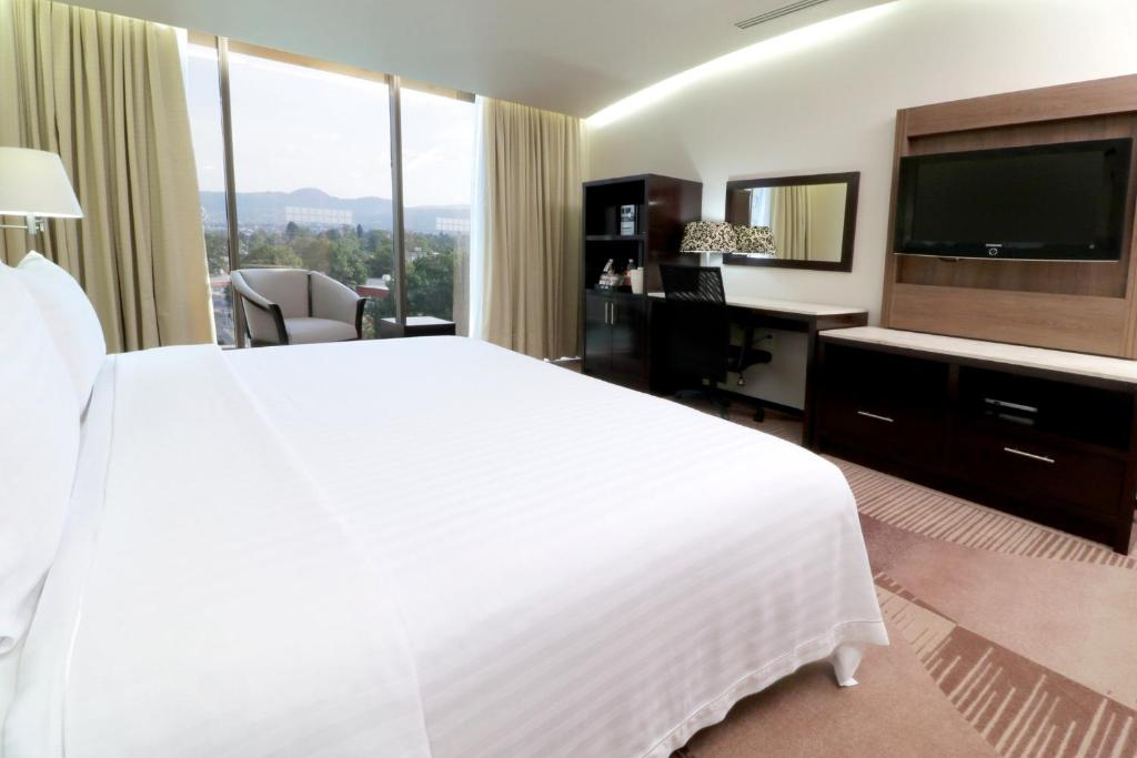 Holiday Inn Médica Sur, Ciudad de México