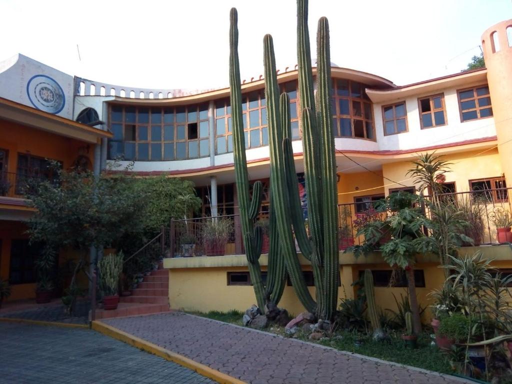 Plaza del Sol, Malinalco