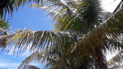 Margarita del Sol, Mahahual