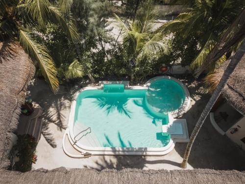 Casa Iguana, Holbox